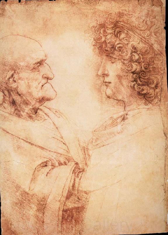LEONARDO da Vinci Profiles of a young and an old man Norge oil painting art